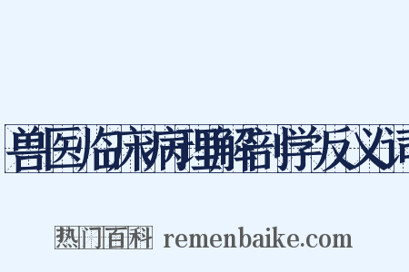 兽医临床病理解剖学反义词是什么意思的图片